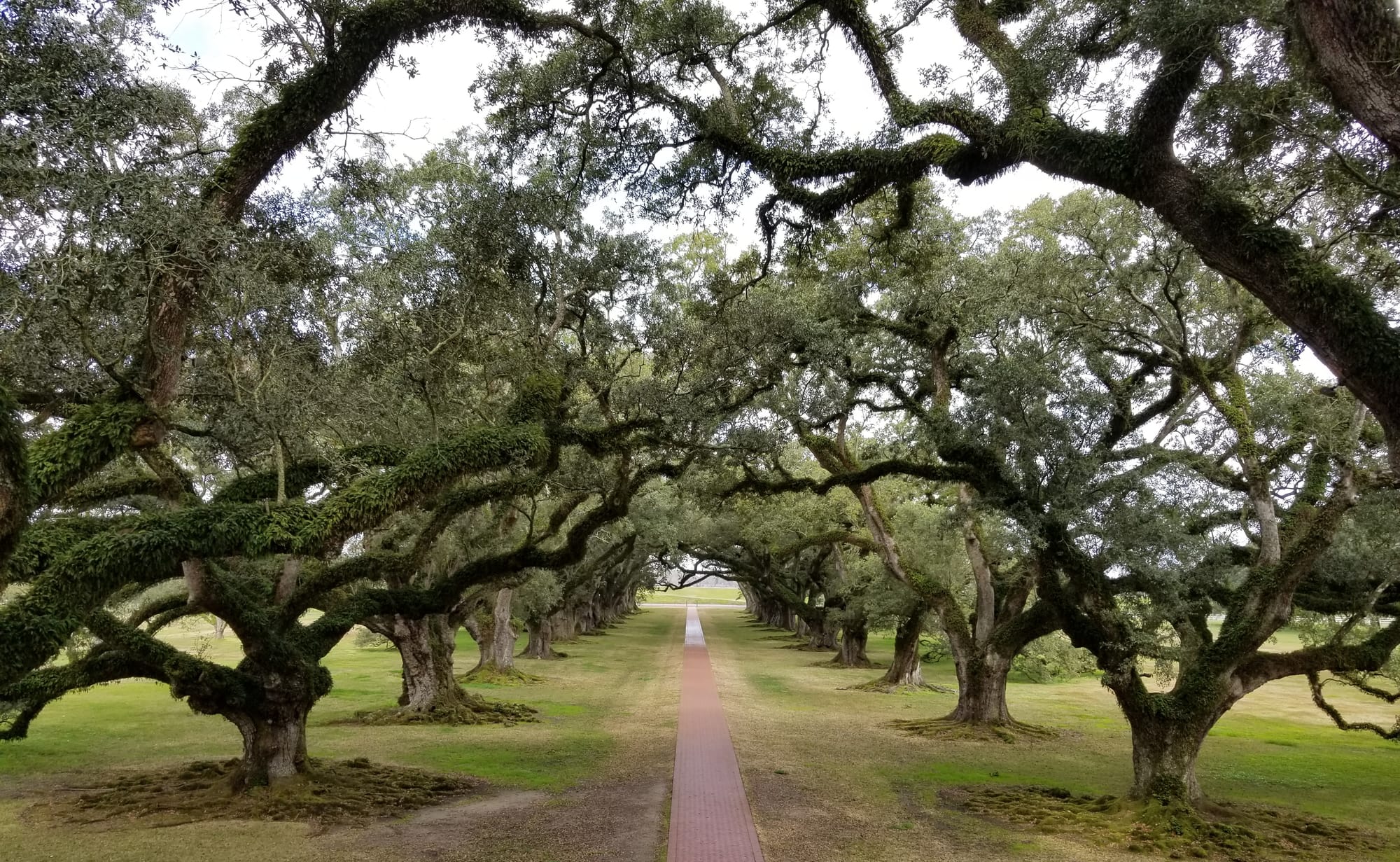 The Worrell's Adventures