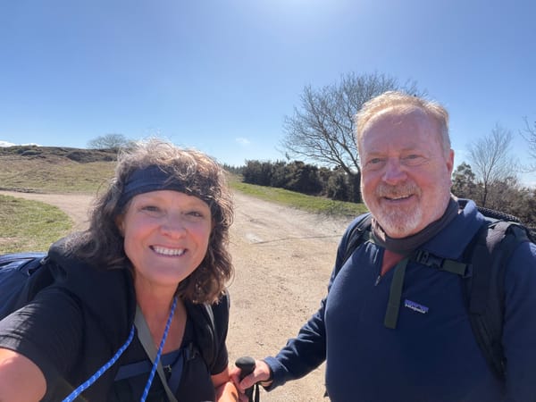 Camino Day 3: Up Up the Hill